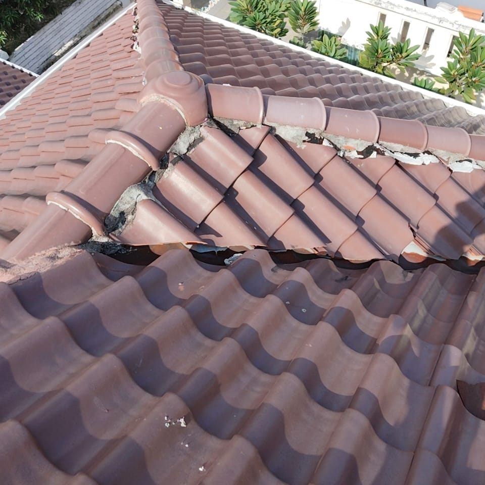 Water Roofing Service